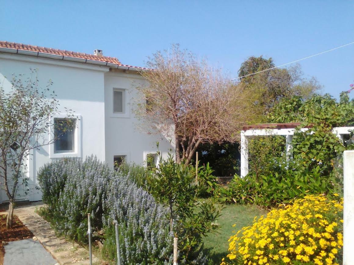 Apartments Lovor Silba Εξωτερικό φωτογραφία