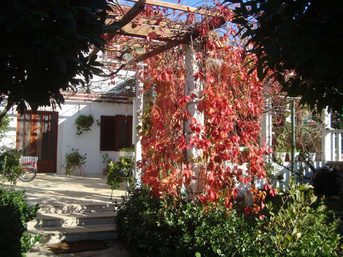 Apartments Lovor Silba Εξωτερικό φωτογραφία