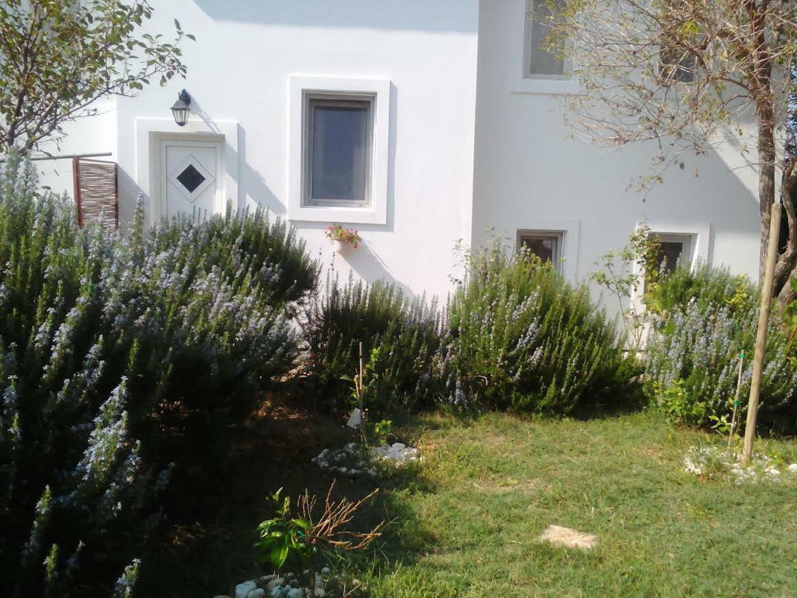 Apartments Lovor Silba Εξωτερικό φωτογραφία