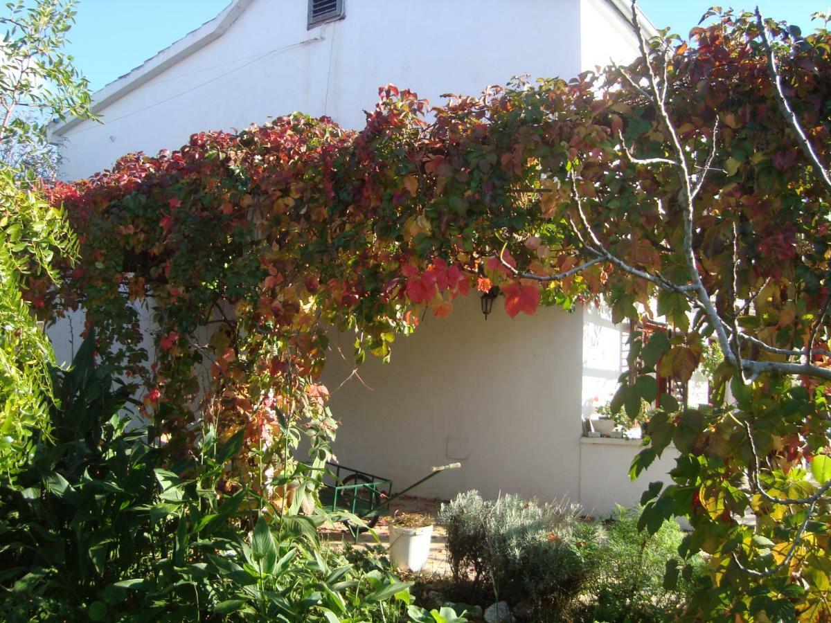 Apartments Lovor Silba Εξωτερικό φωτογραφία