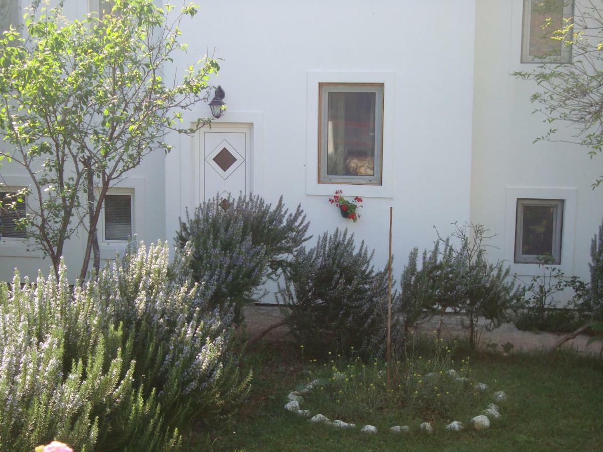 Apartments Lovor Silba Εξωτερικό φωτογραφία