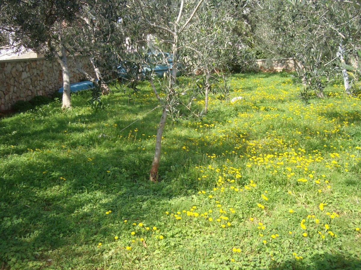 Apartments Lovor Silba Εξωτερικό φωτογραφία