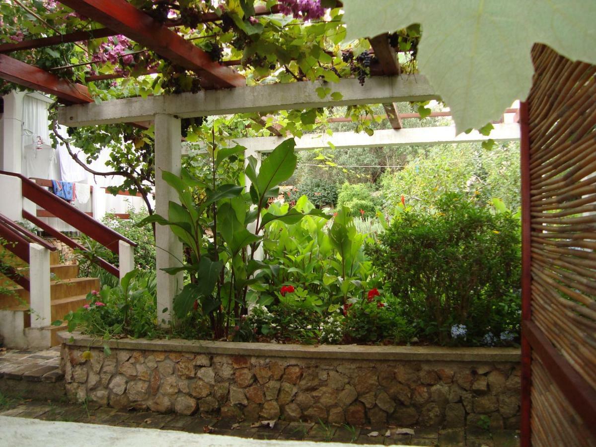 Apartments Lovor Silba Εξωτερικό φωτογραφία
