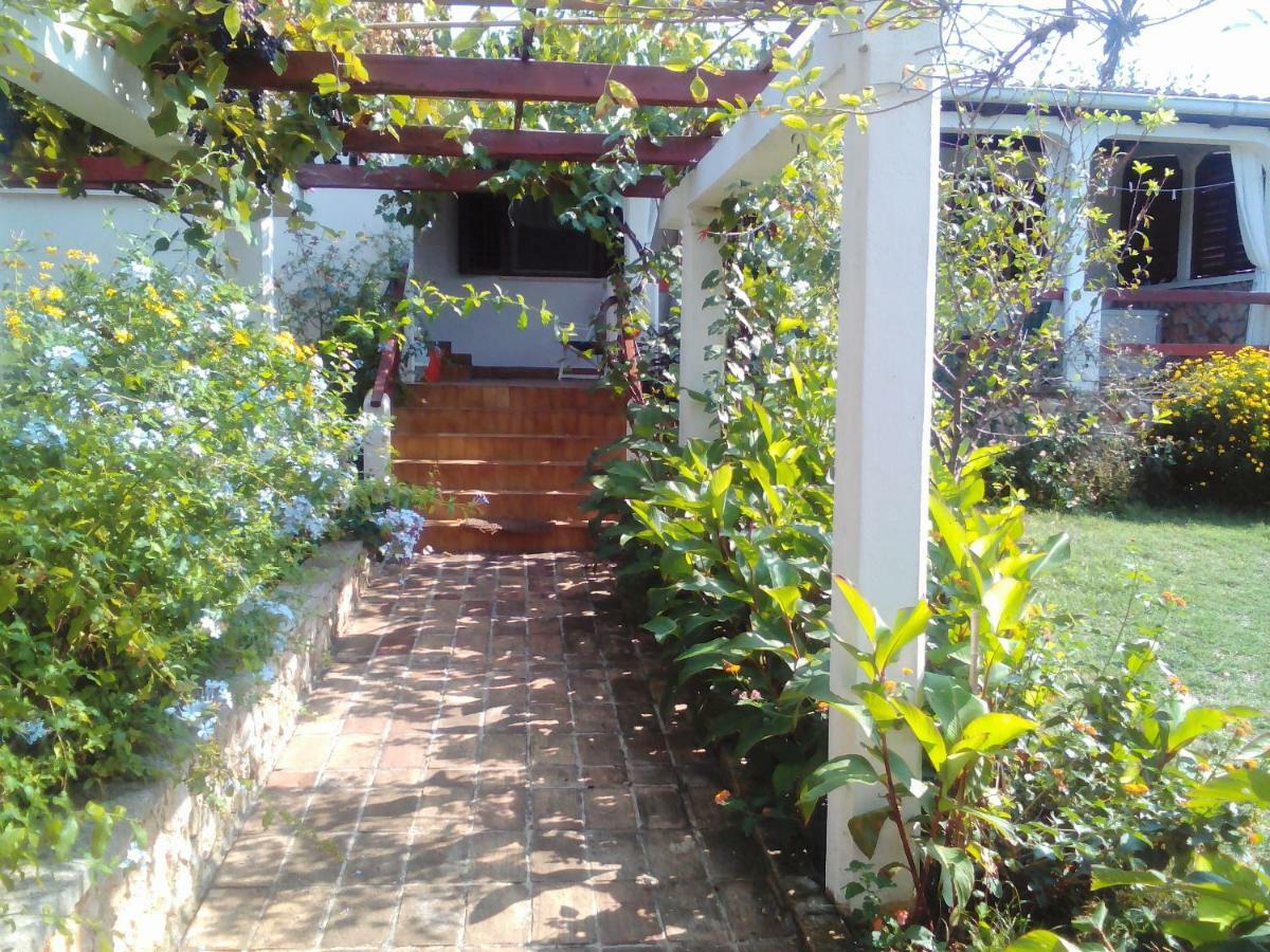 Apartments Lovor Silba Εξωτερικό φωτογραφία