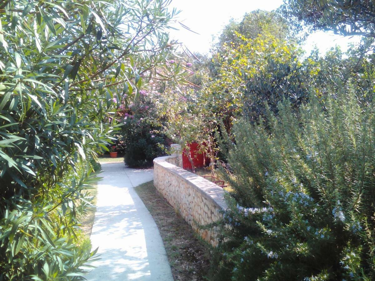 Apartments Lovor Silba Εξωτερικό φωτογραφία