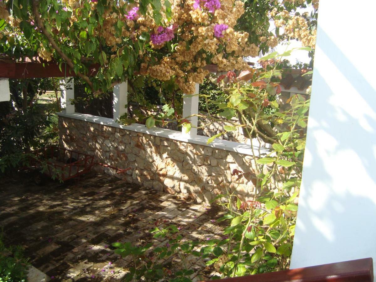 Apartments Lovor Silba Εξωτερικό φωτογραφία