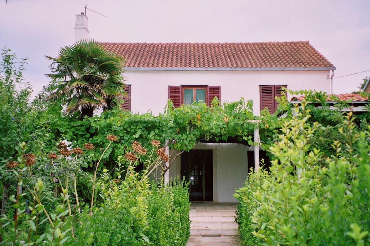 Apartments Lovor Silba Εξωτερικό φωτογραφία